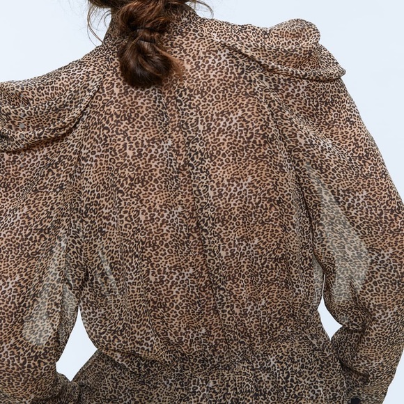 Zara leopard sheer blouse. Xs - Picture 9 of 9